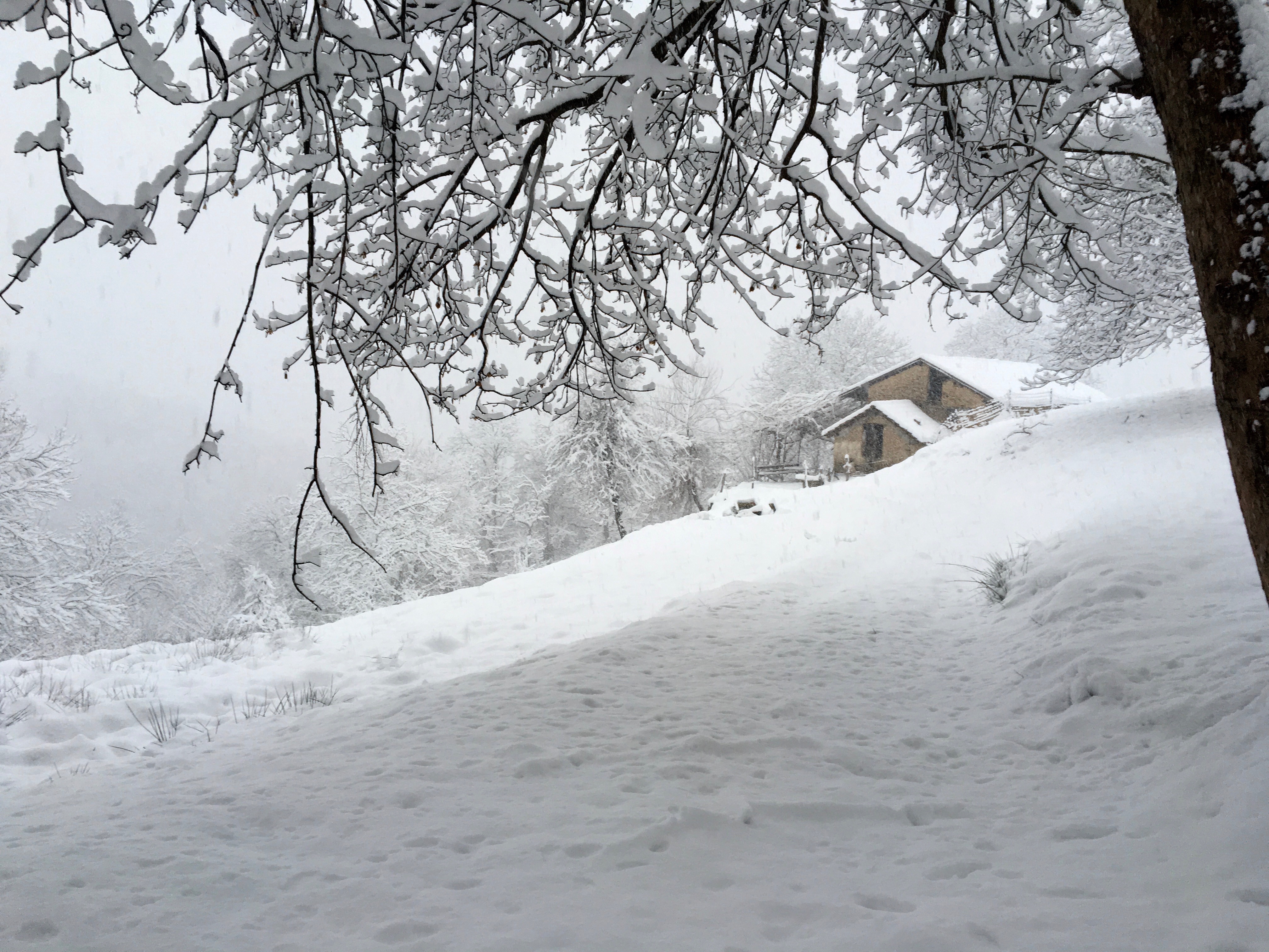 verschneite Alpe