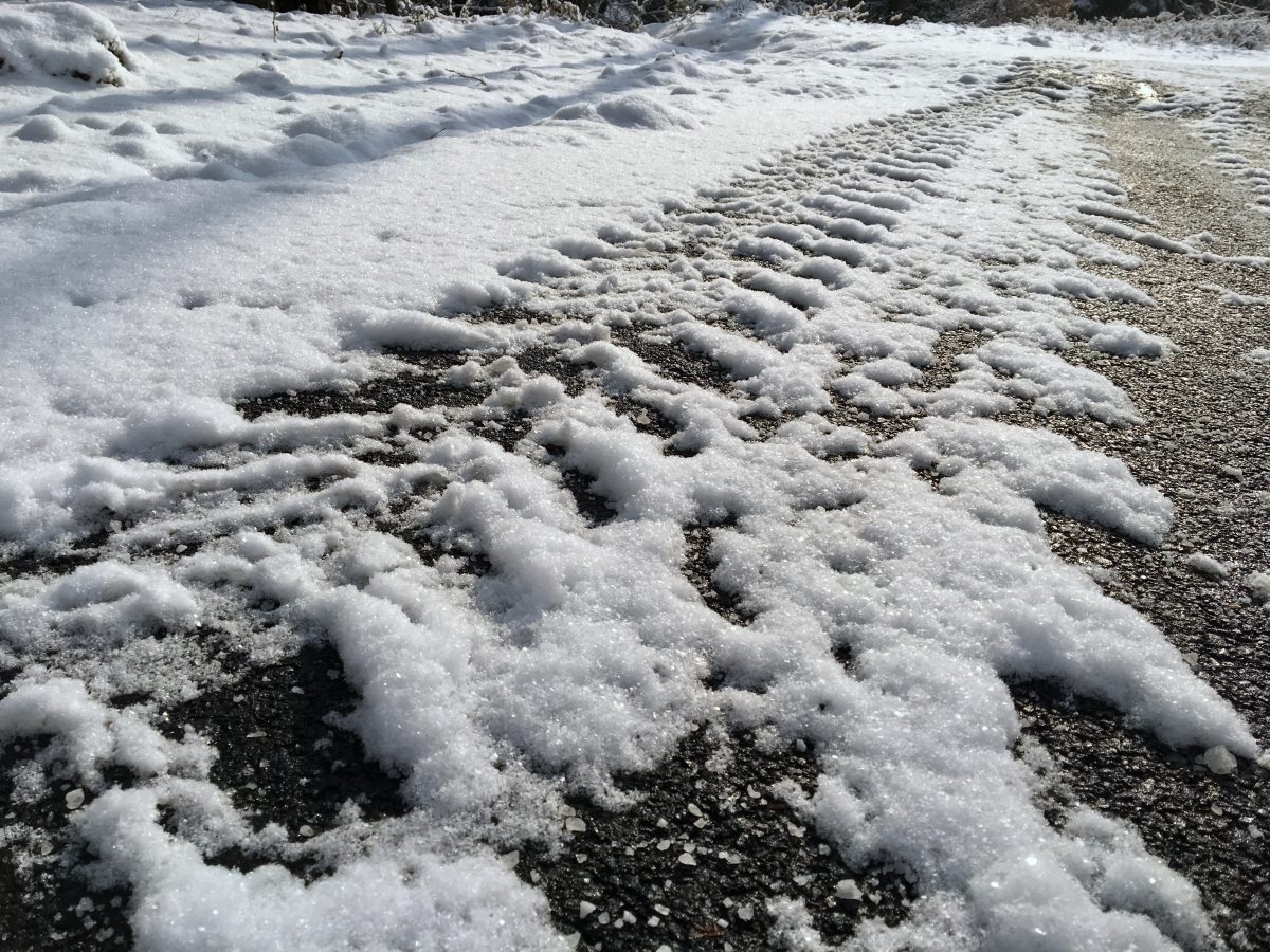 Spuren im Schnee | Svens FotoblogSvens Fotoblog