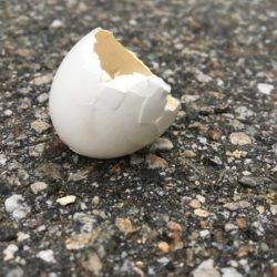 gebrochenes Ei