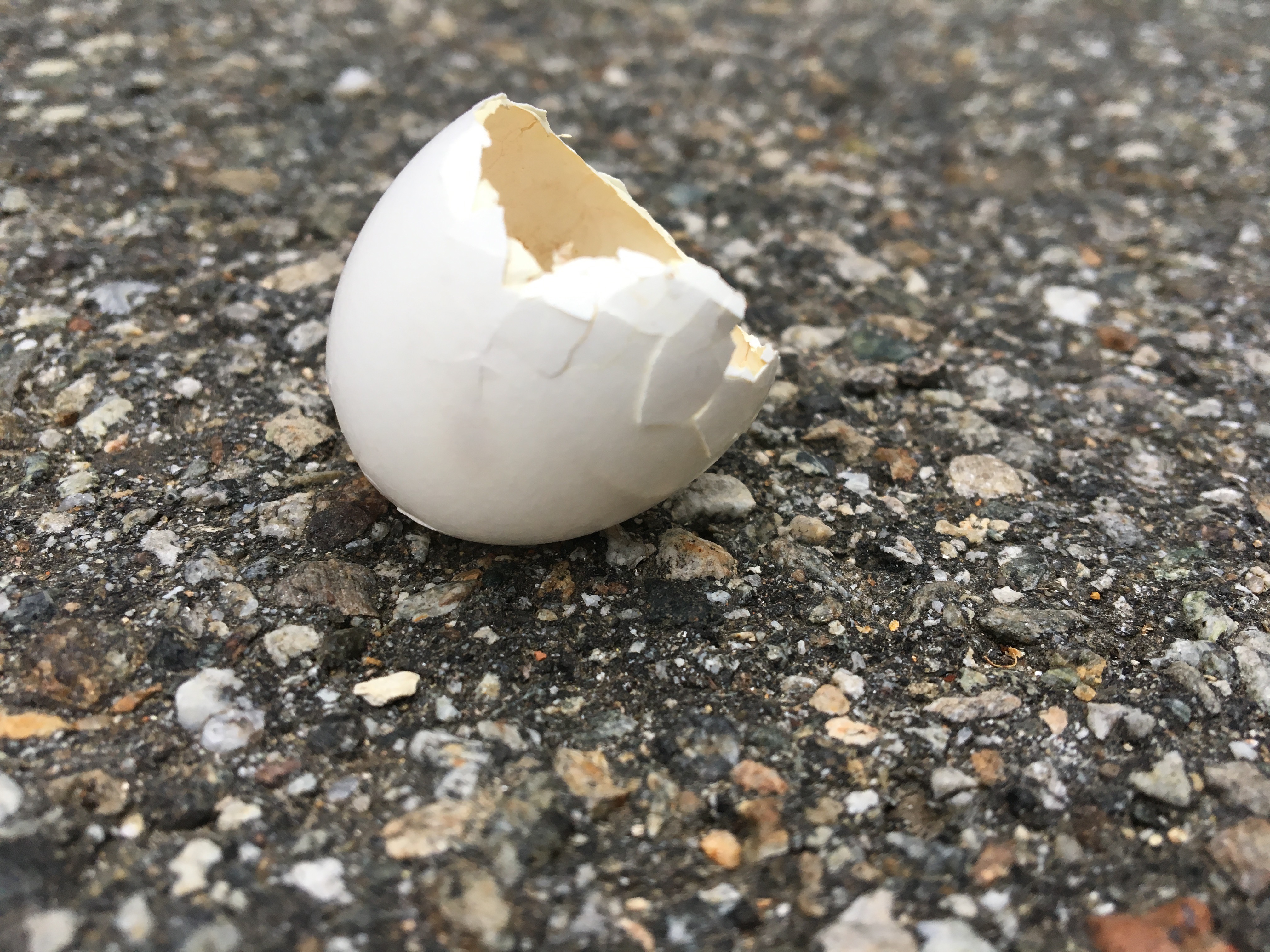 gebrochenes Ei