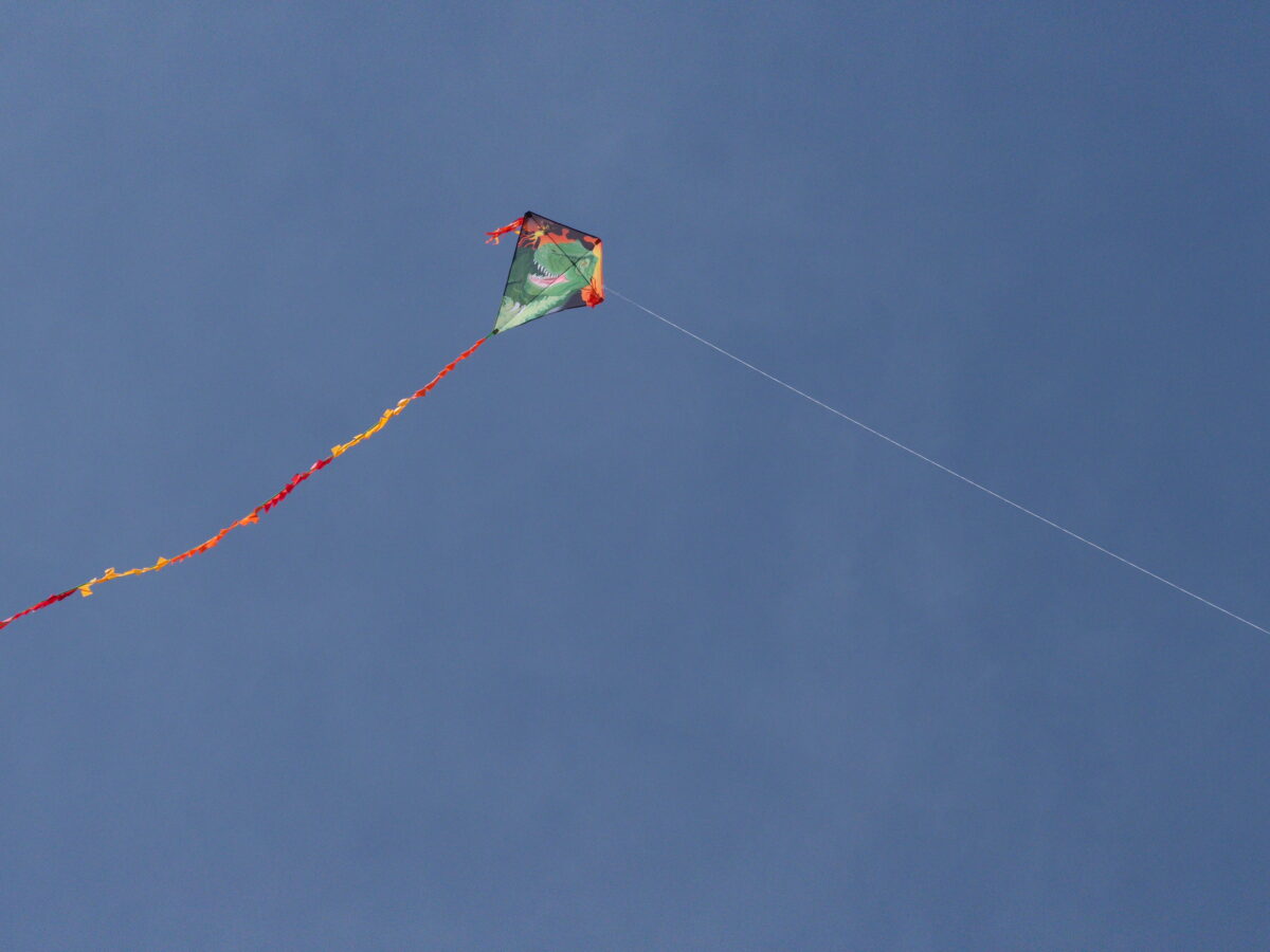 fliegender Drache