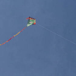fliegender Drache