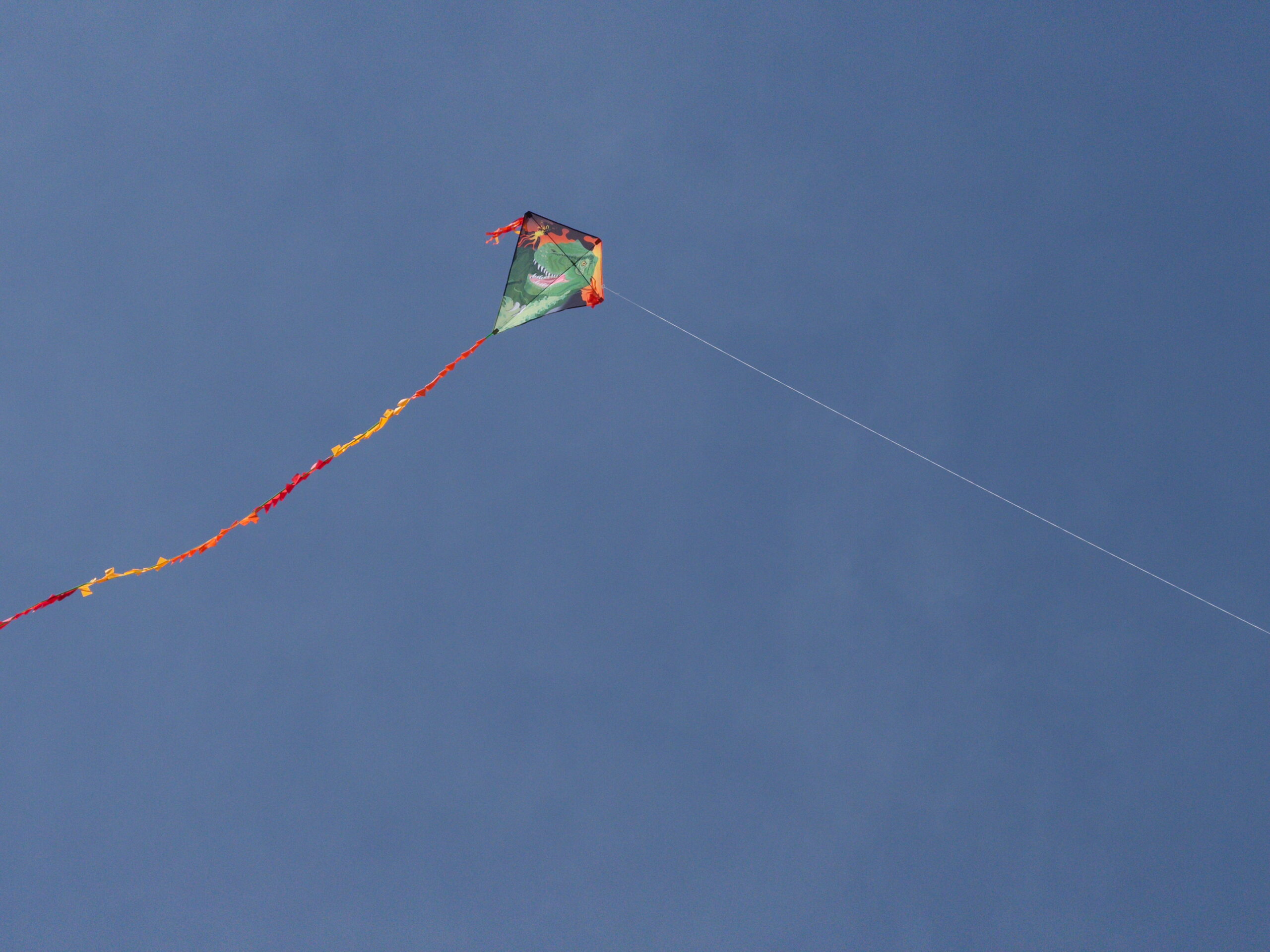 fliegender Drache